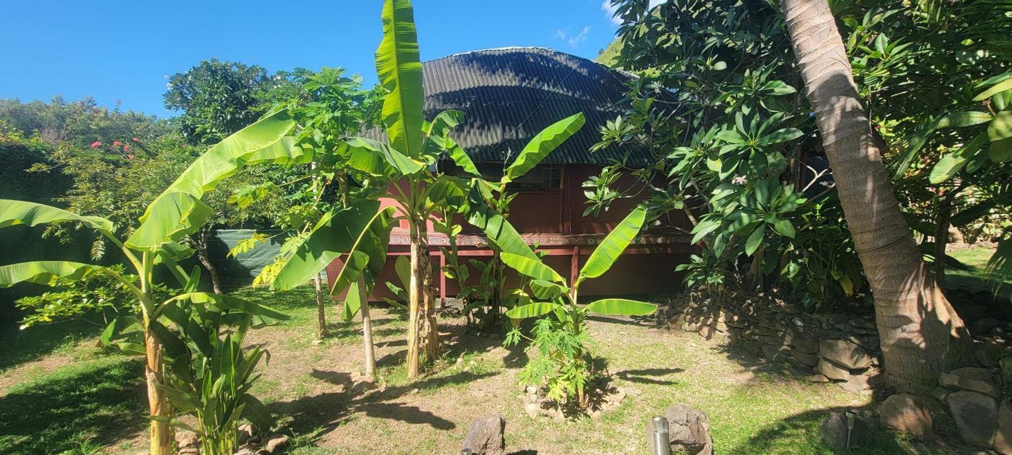 Location " La Pirogue " Maison D'Hotes A Moorea Haapiti Εξωτερικό φωτογραφία