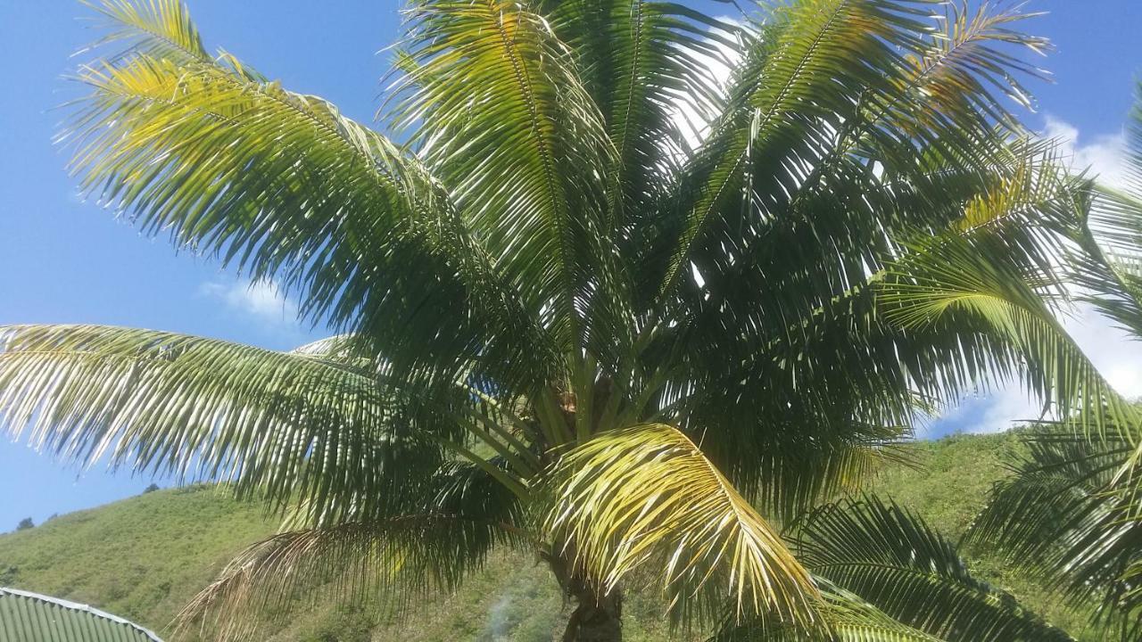 Location " La Pirogue " Maison D'Hotes A Moorea Haapiti Εξωτερικό φωτογραφία