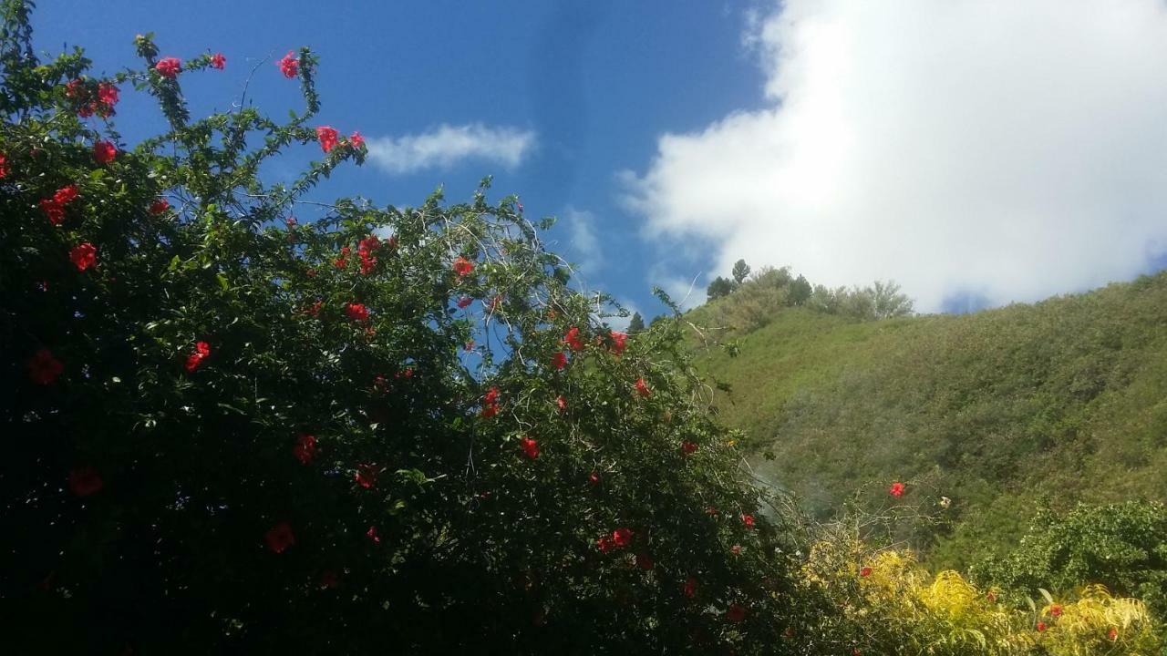 Location " La Pirogue " Maison D'Hotes A Moorea Haapiti Εξωτερικό φωτογραφία